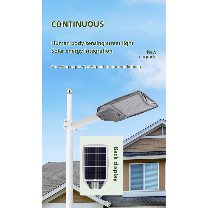#374 Solar Street Light 300W